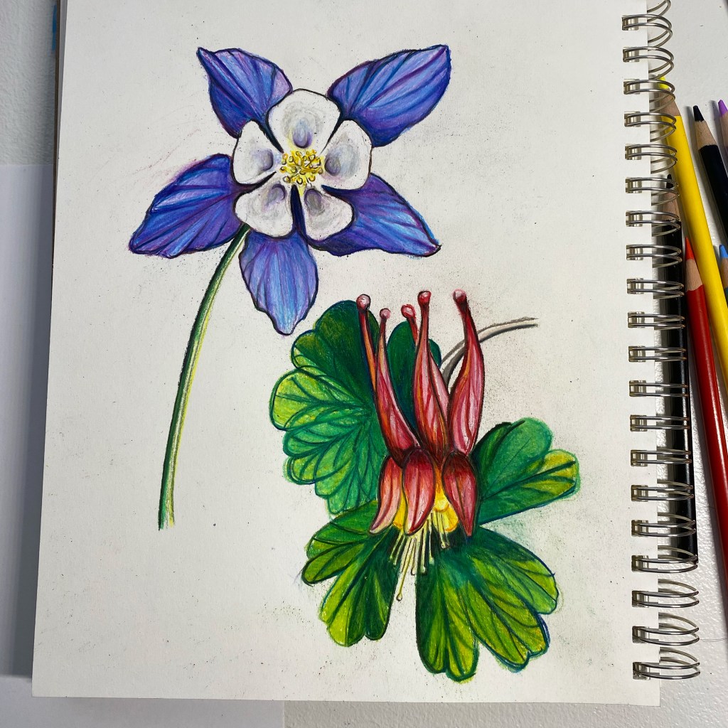 The Botanical Artist